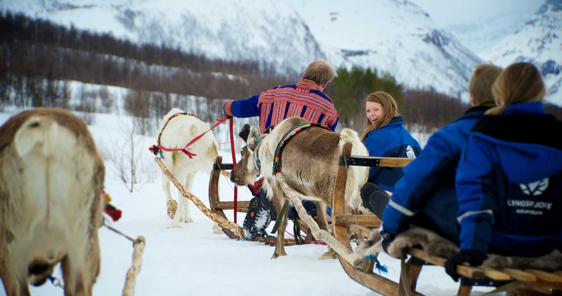 Photo. Reindeer sled