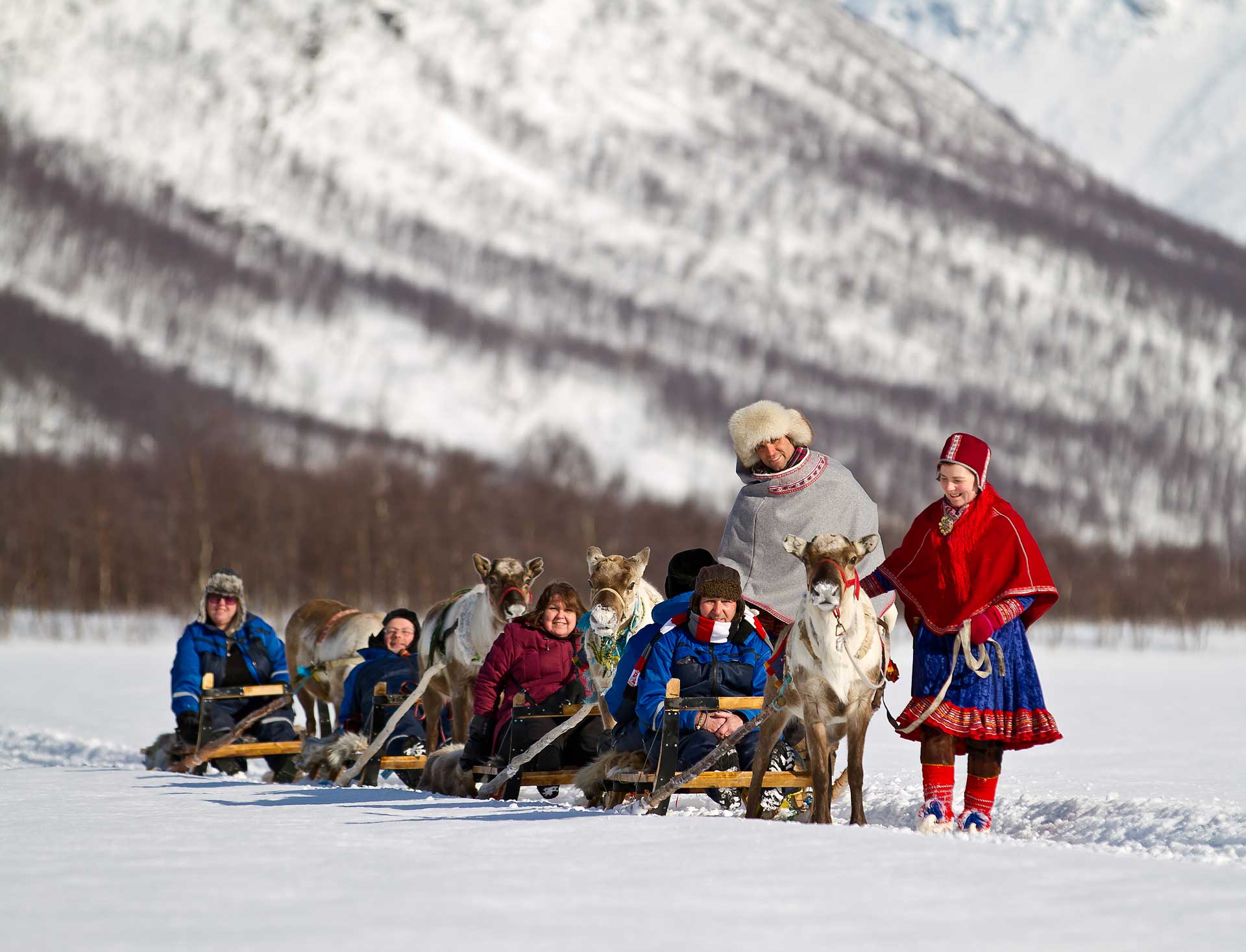 Photo. Reindeer excursion