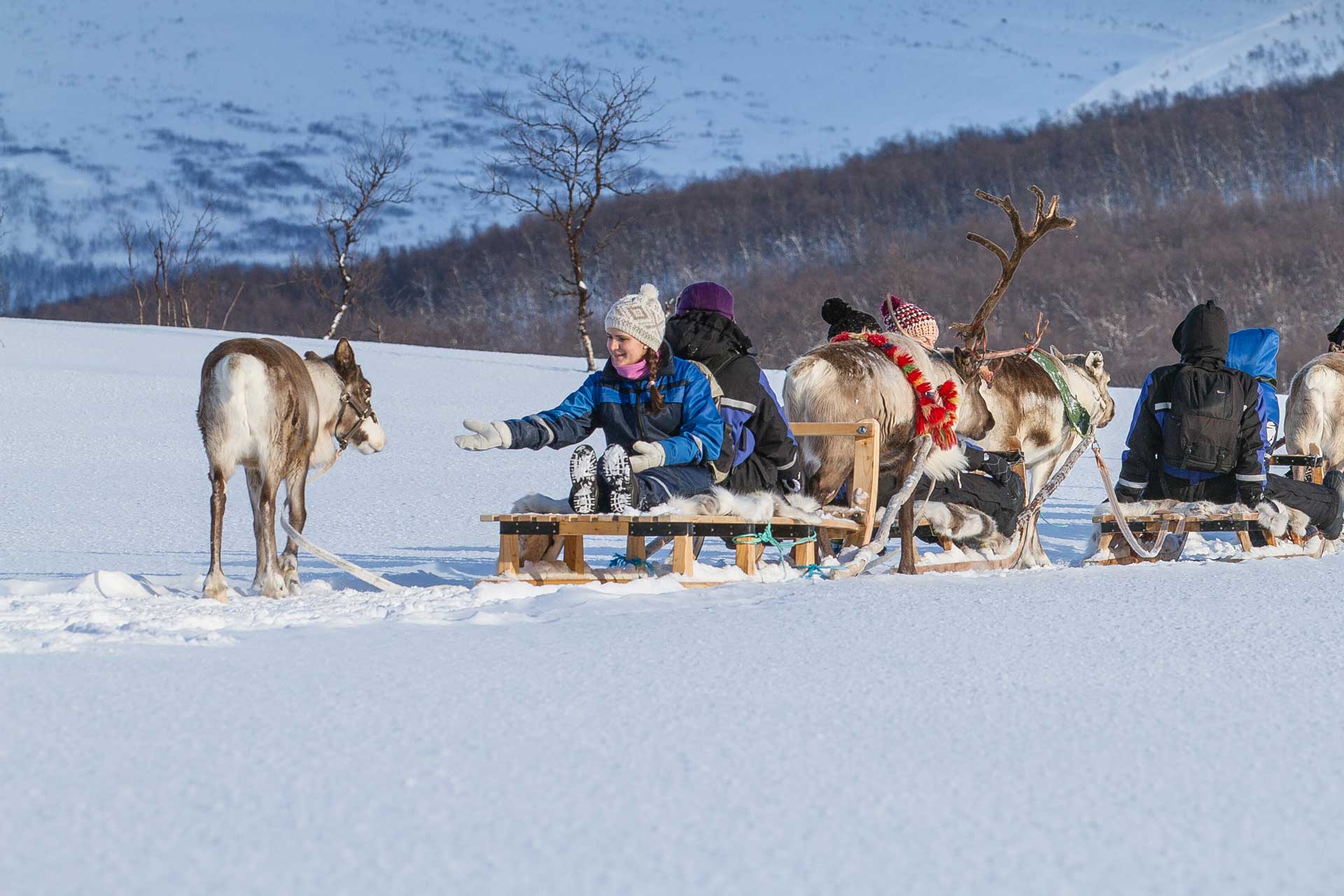 Photo. People on reindeer sled