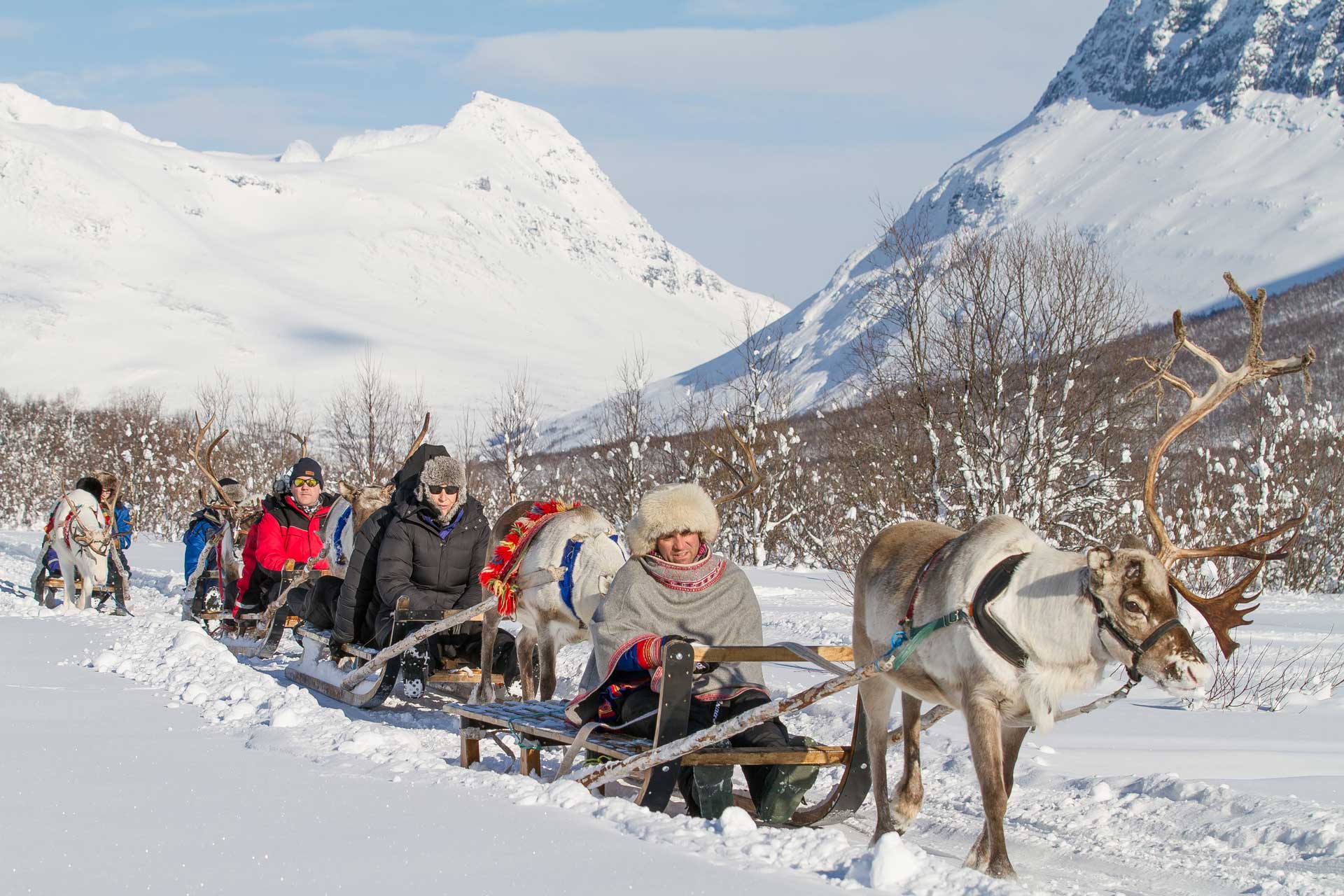Photo. Reindeer sled in beautiful surroundings