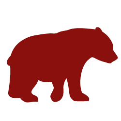 Illustration. Polar Park Bear