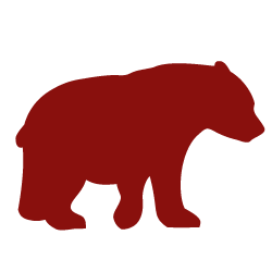 Visit to Polar Park Zoo