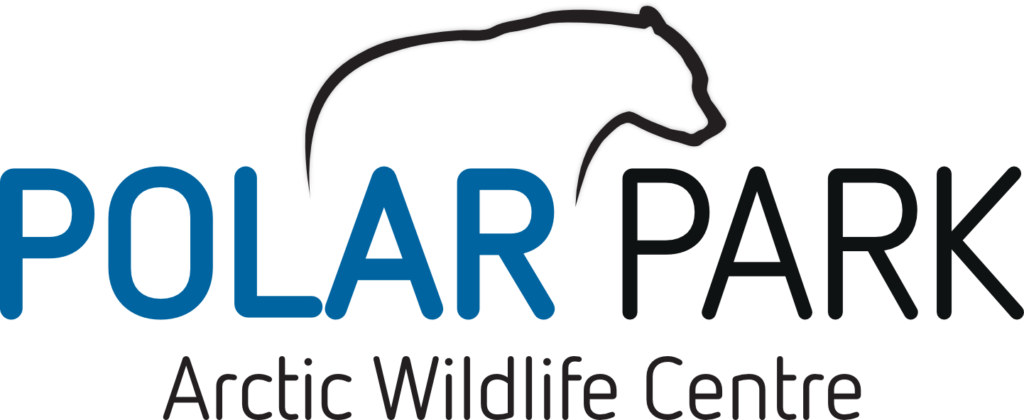 Link. polar park website