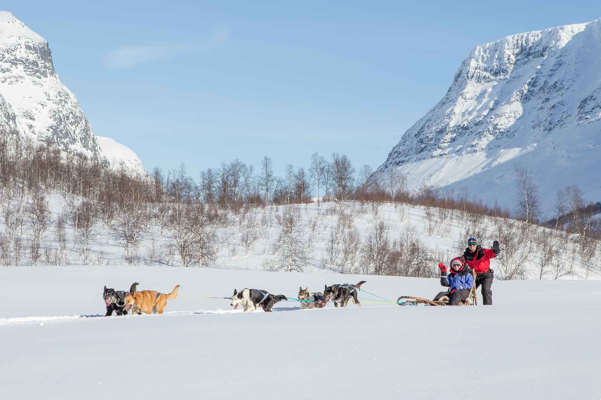 vollan-gjestestue-dog-sledding-activity-book-arctic-camp-tamok-husky-arctic-tromso-guide-activity-mountains