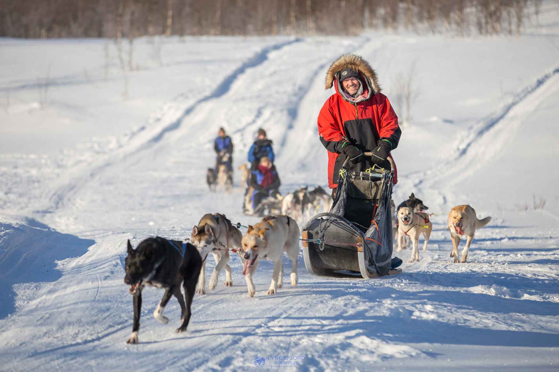 Photo. Dogsled in winter landscape